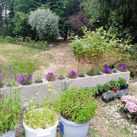 Robinhill Garden Ξενοδοχείο Forres Εξωτερικό φωτογραφία